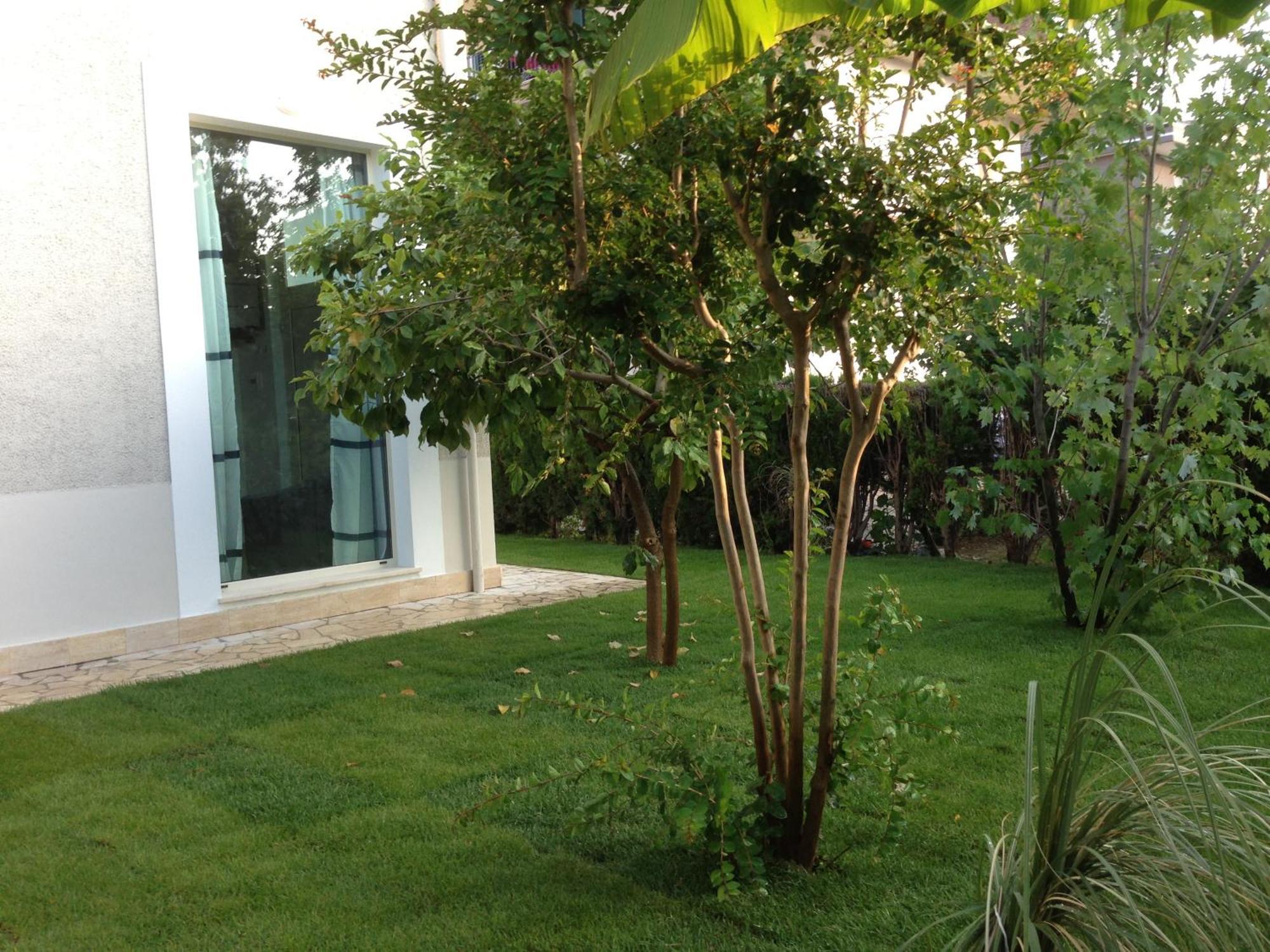 Ferienwohnung Loft 3, A 150 M Dal Mare, Pineto Centro Exterior foto